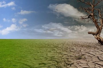 Danni da siccità alle produzioni agricole - anno 2023 - Attivazione procedura di ricognizione presso aziende interessate.